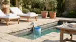 Le Rôle Crucial du Skimmer Piscine